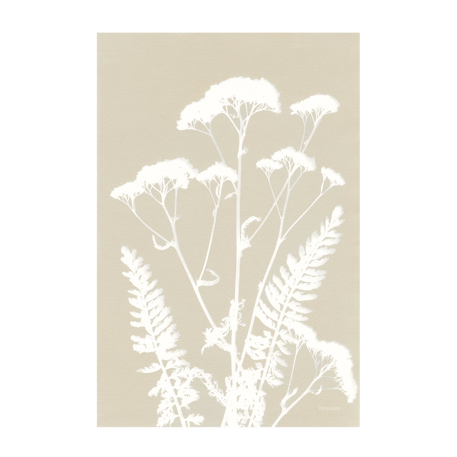 Neutral Alpine Flowers, Style A , By Kathy Ferguson