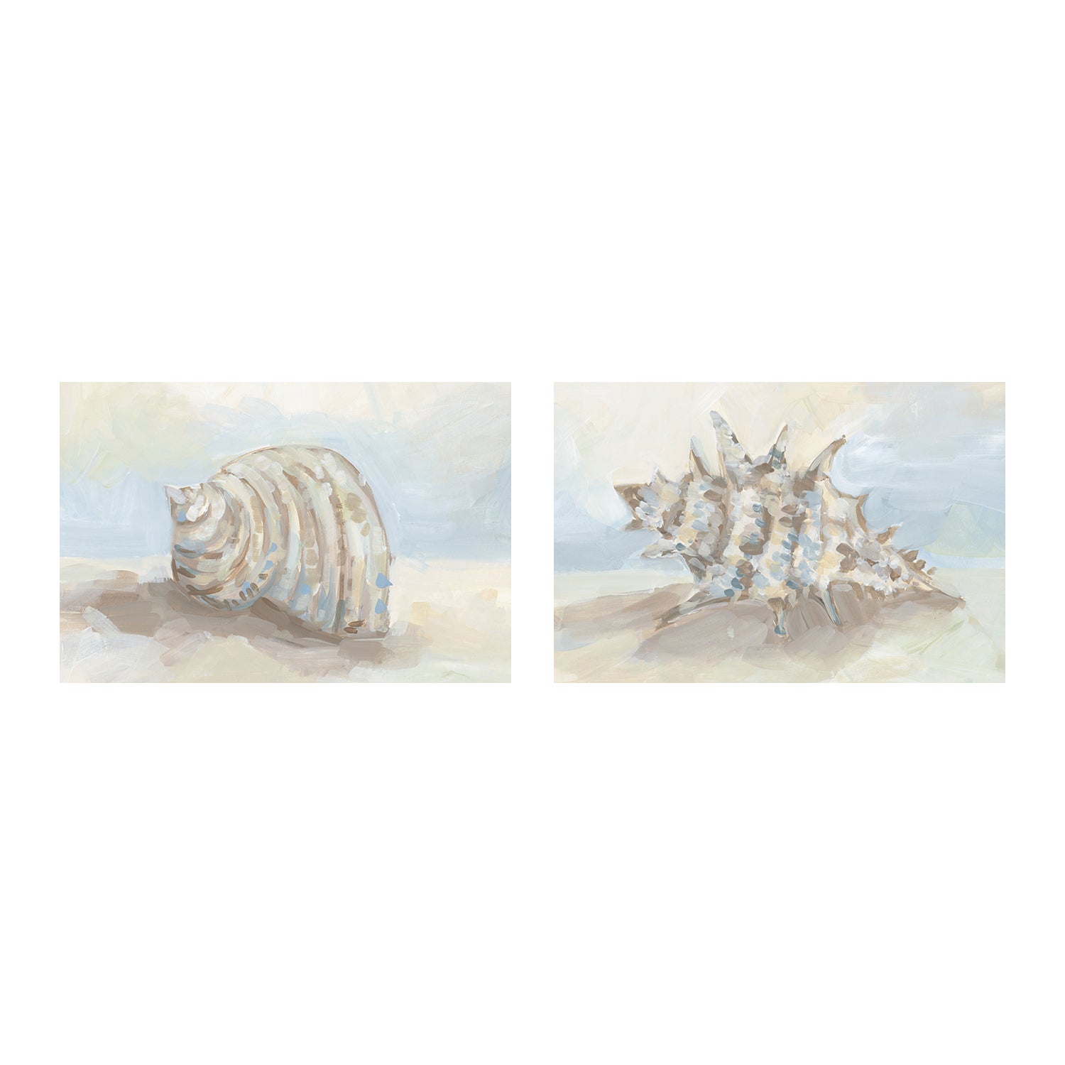 wall-art-print-canvas-poster-framed-Neutral Coastal Seashell , Style A & B, Set Of 2 , By Jetty Home-1