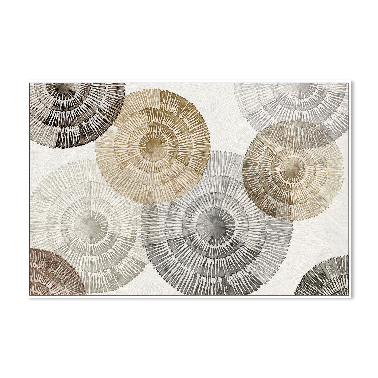 wall-art-print-canvas-poster-framed-Neutral Orbits , By Emma Peal-5