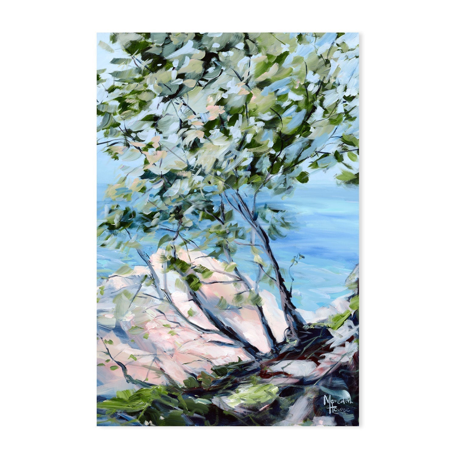 wall-art-print-canvas-poster-framed-Noosa National Park-by-Meredith Howse-Gioia Wall Art
