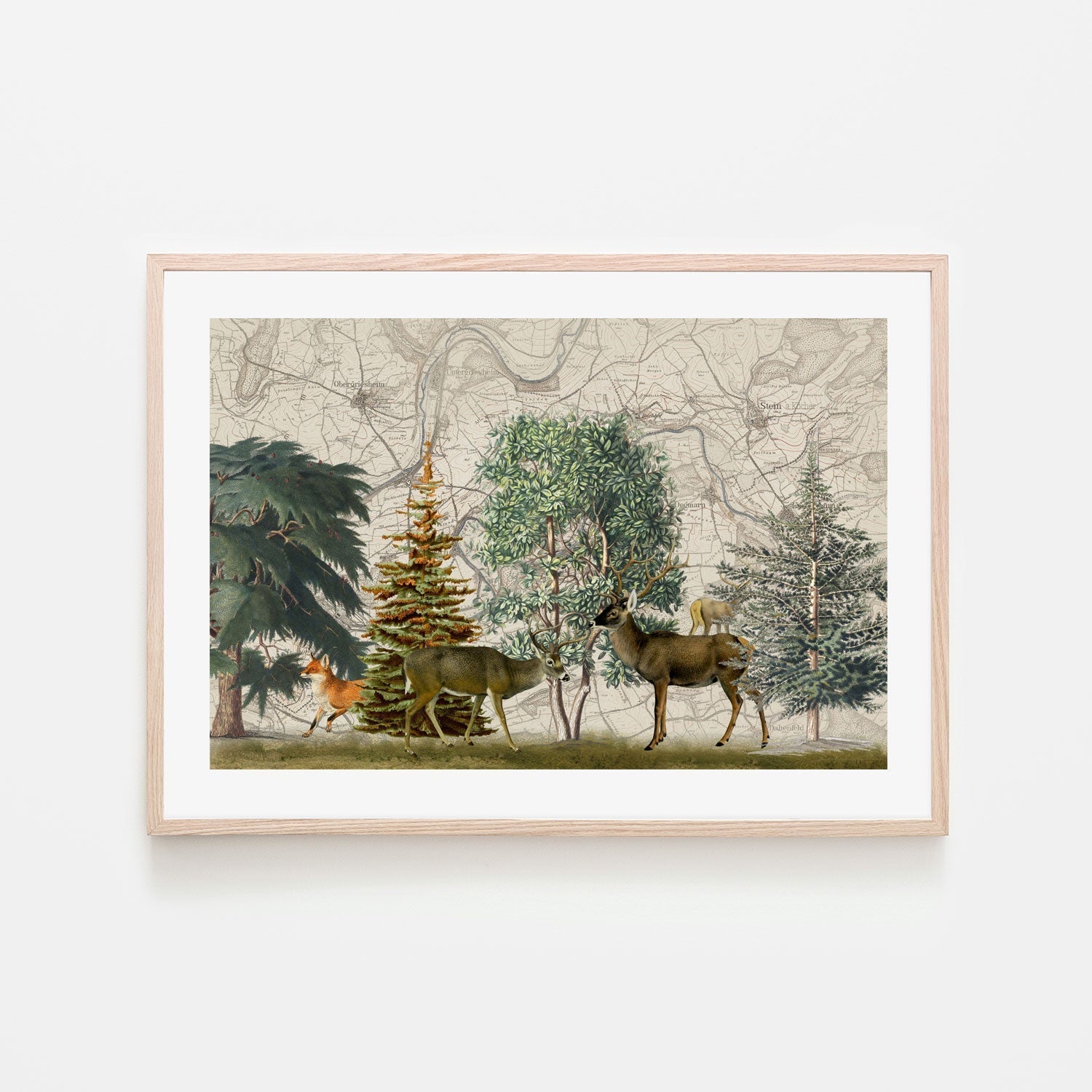 wall-art-print-canvas-poster-framed-Nordic Woods, Style A, By Andrea Haase-GIOIA-WALL-ART