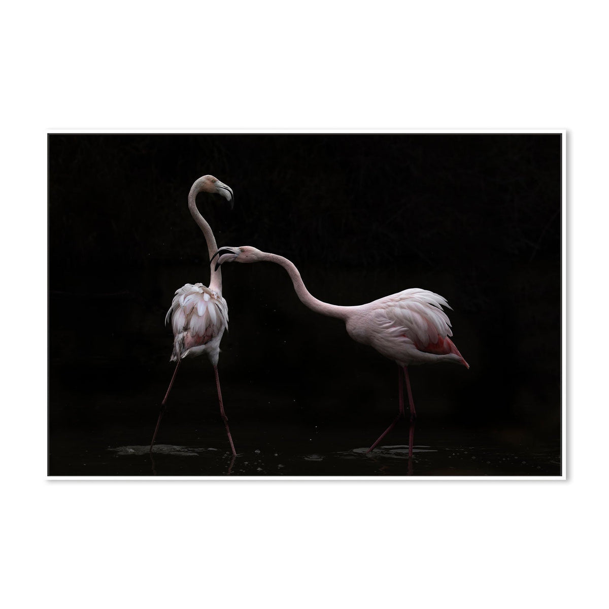 wall-art-print-canvas-poster-framed-Not All Is Rosy, by Martine Benezech-by-Plus X Studio-Gioia Wall Art