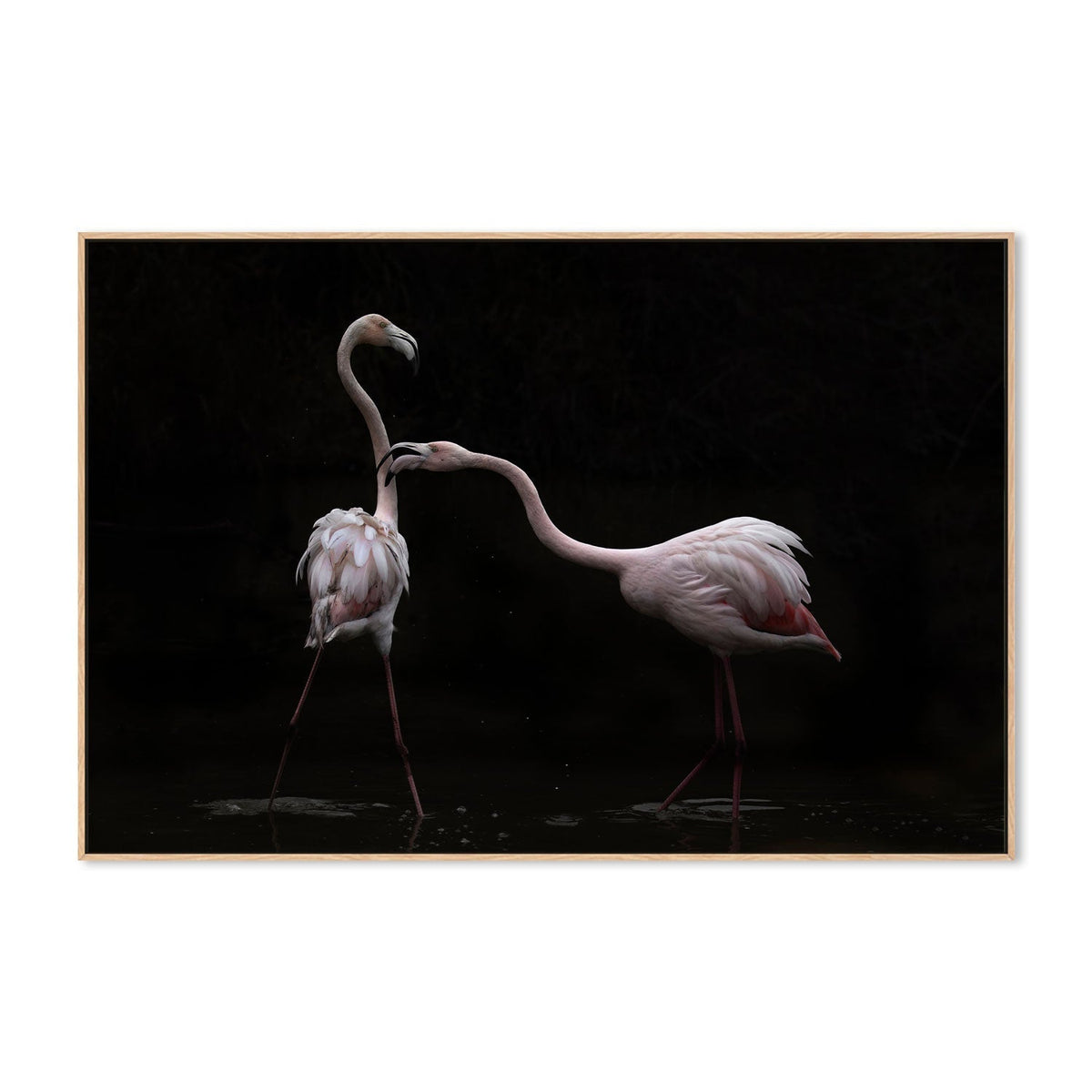 wall-art-print-canvas-poster-framed-Not All Is Rosy, by Martine Benezech-by-Plus X Studio-Gioia Wall Art