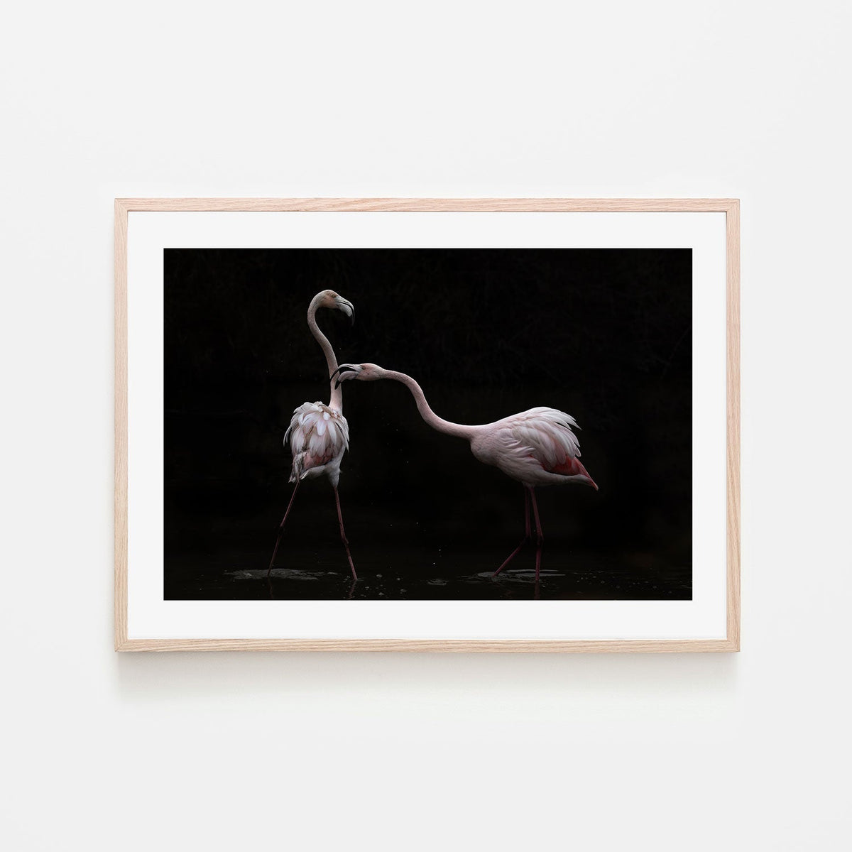 wall-art-print-canvas-poster-framed-Not All Is Rosy, by Martine Benezech-by-Plus X Studio-Gioia Wall Art