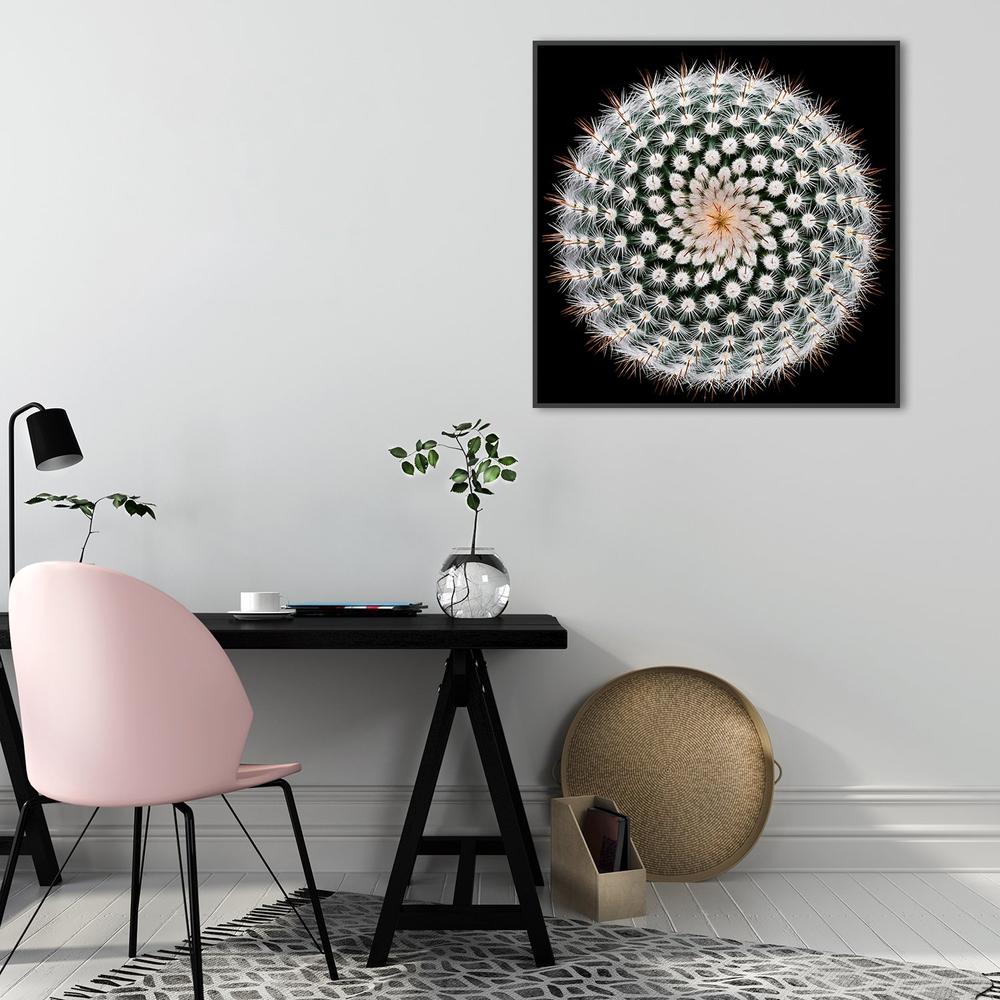 wall-art-print-canvas-poster-framed-Notocactus Scopa, By Victor Mozqueda-by-Plus X Studio-Gioia Wall Art