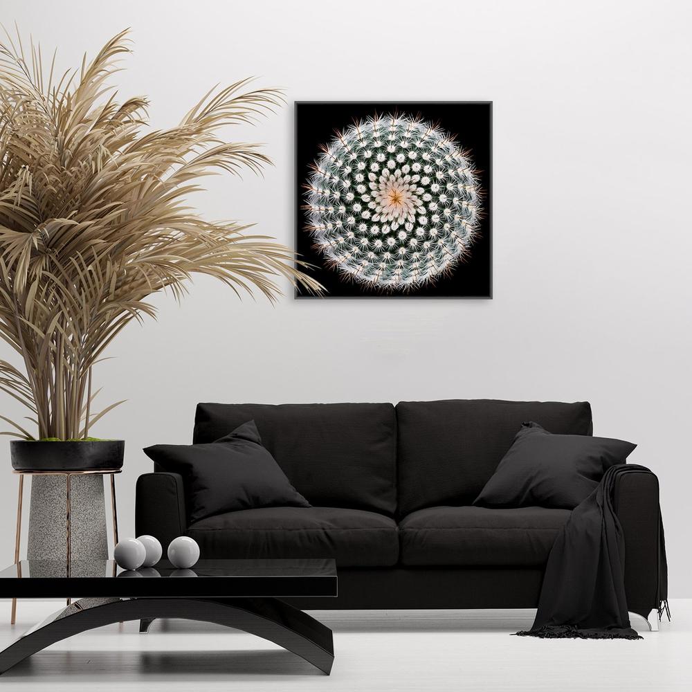 wall-art-print-canvas-poster-framed-Notocactus Scopa, By Victor Mozqueda-by-Plus X Studio-Gioia Wall Art