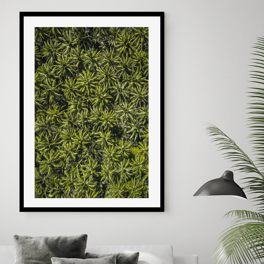 wall-art-print-canvas-poster-framed-Oasis , By Max Lissendon-GIOIA-WALL-ART