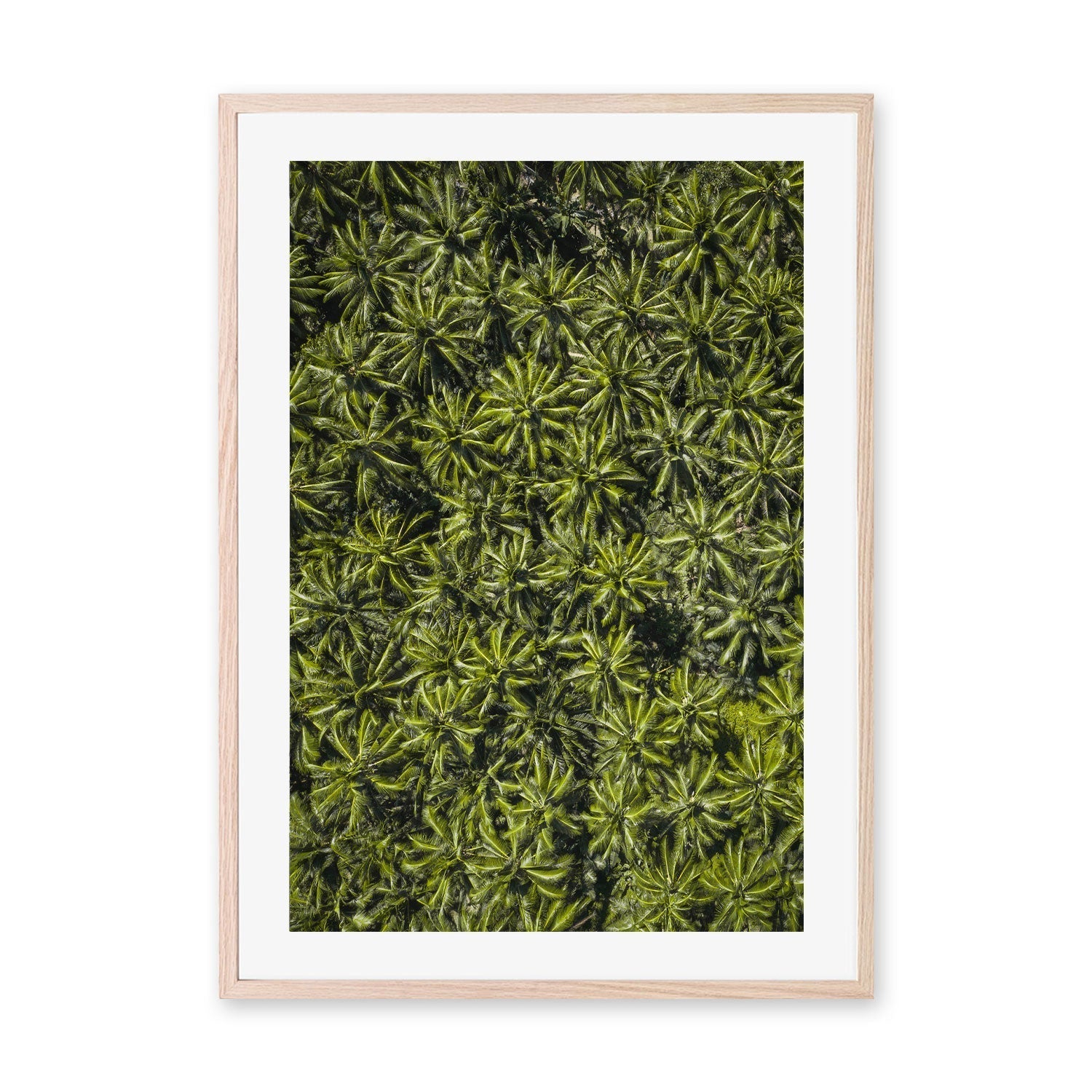 wall-art-print-canvas-poster-framed-Oasis , By Max Lissendon-GIOIA-WALL-ART