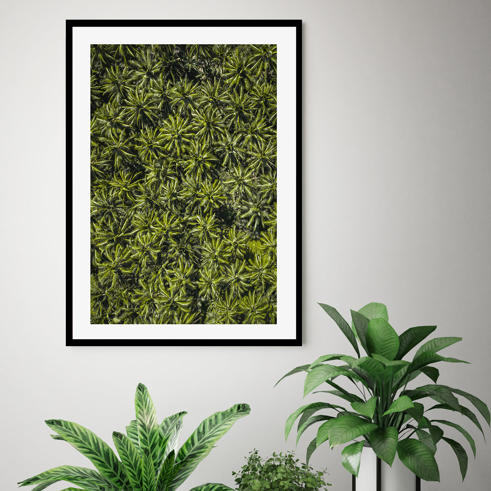 wall-art-print-canvas-poster-framed-Oasis , By Max Lissendon-GIOIA-WALL-ART