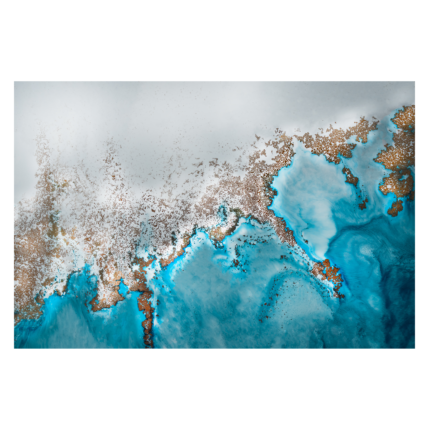 wall-art-print-canvas-poster-framed-Oasis Exploring , By Petra Meikle-1