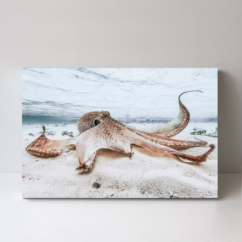 wall-art-print-canvas-poster-framed-Octopus, By Barathiew Gabriel-by-Plus X Studio-Gioia Wall Art
