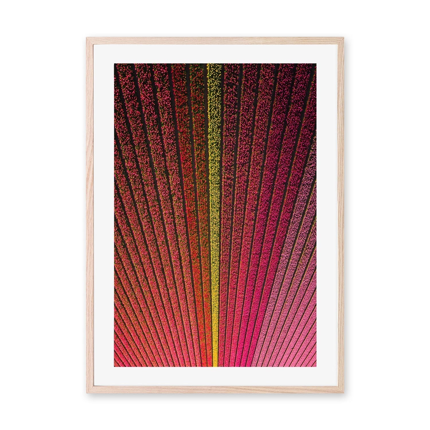 wall-art-print-canvas-poster-framed-Odd One Out , By Max Lissendon-GIOIA-WALL-ART