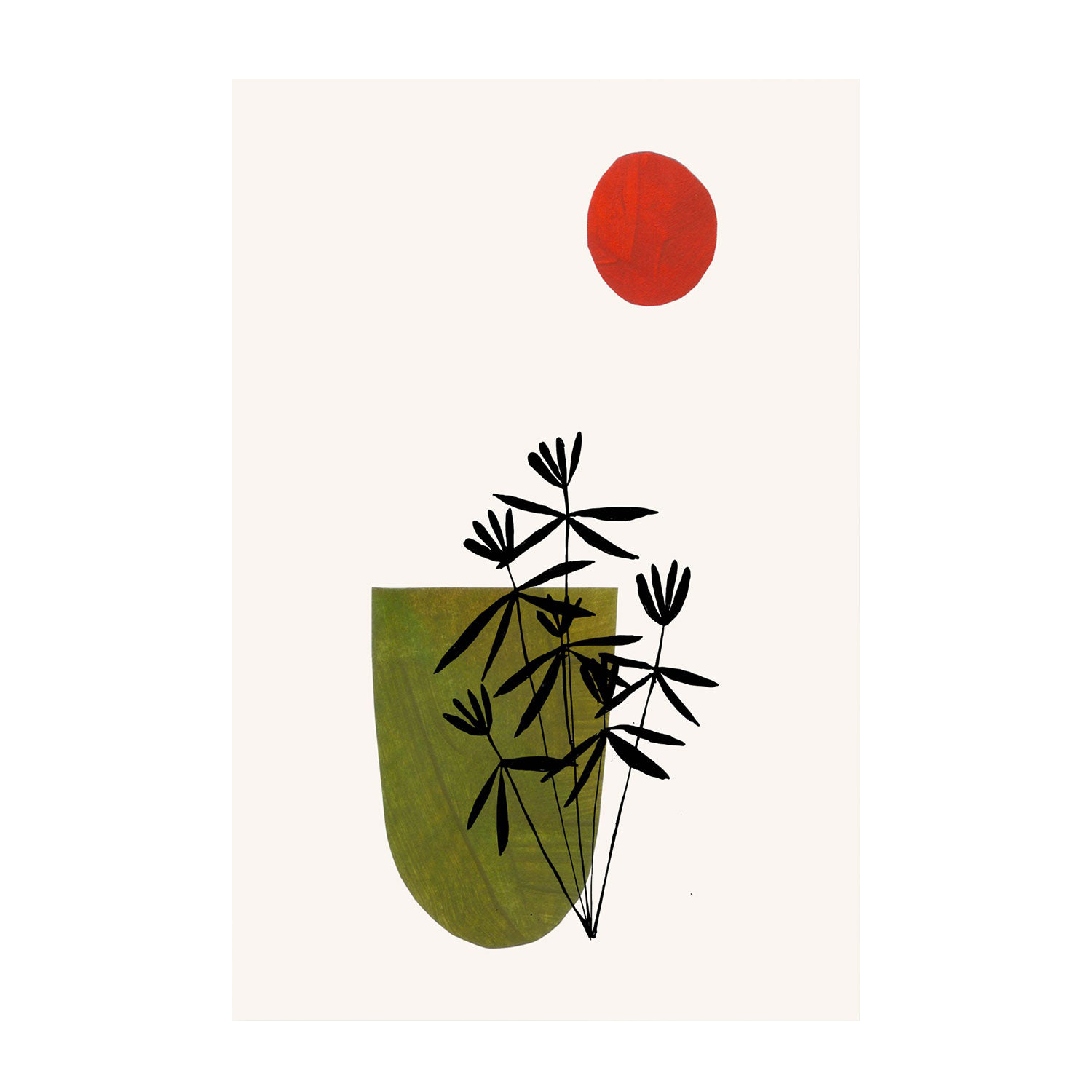 Olive Flowers