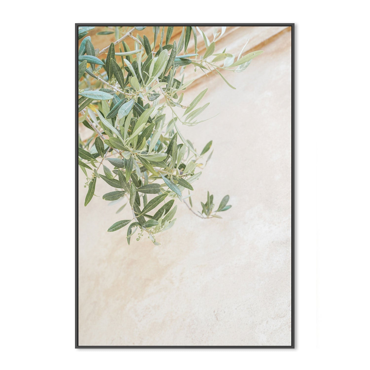 wall-art-print-canvas-poster-framed-Olive Tree Leaves-3