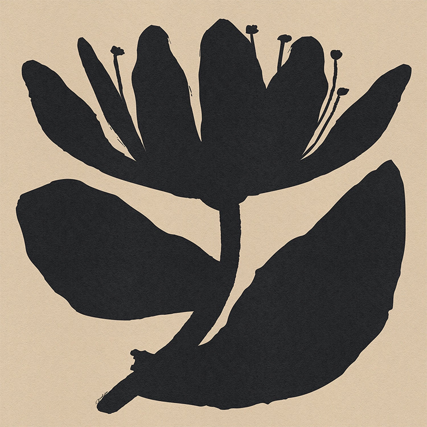wall-art-print-canvas-poster-framed-Open Black Flower On Beige-1
