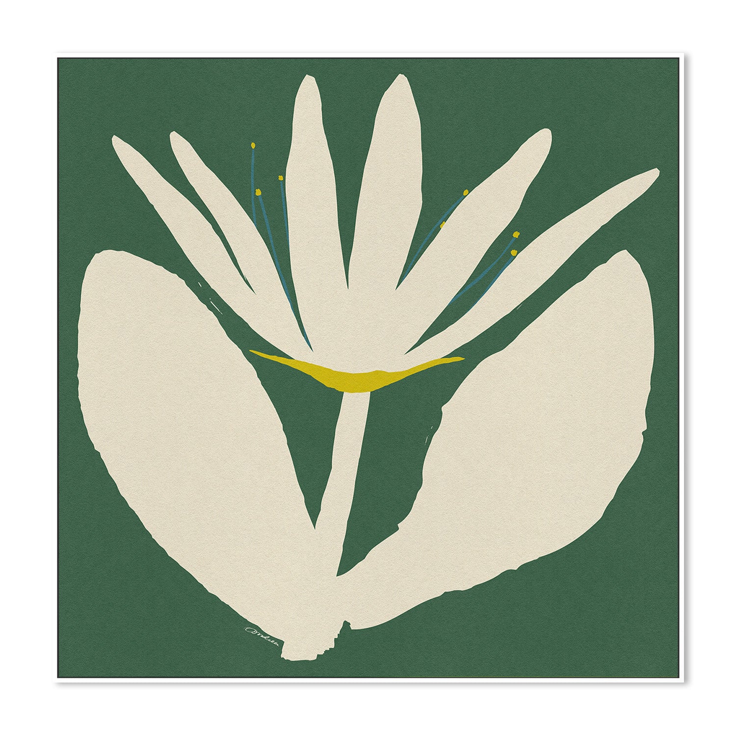 wall-art-print-canvas-poster-framed-Open Cream Flower On Green-5