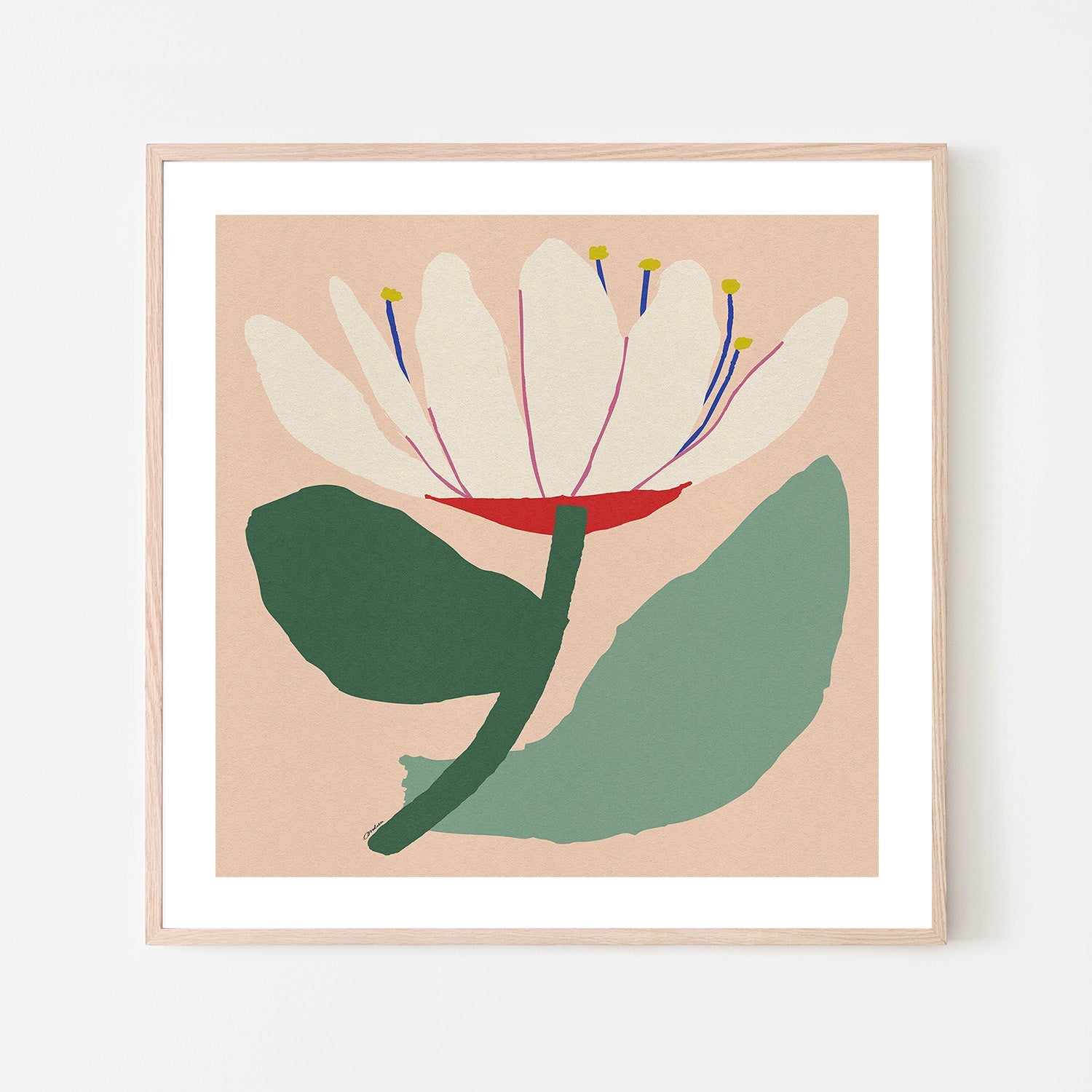 wall-art-print-canvas-poster-framed-Open White Flower-6
