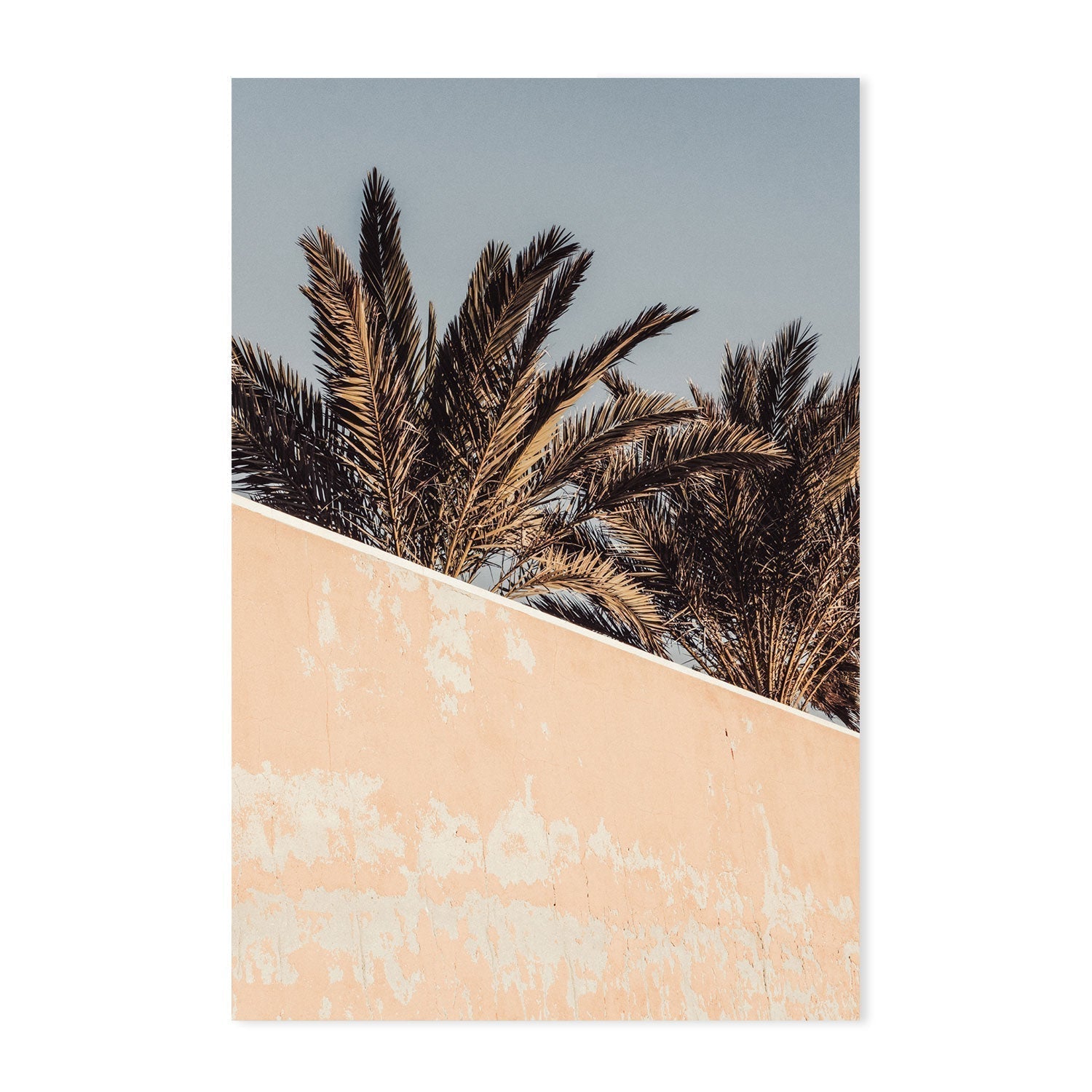 Palm-Gioia-Prints-Framed-Canvas-Poster-GIOIA-WALL-ART