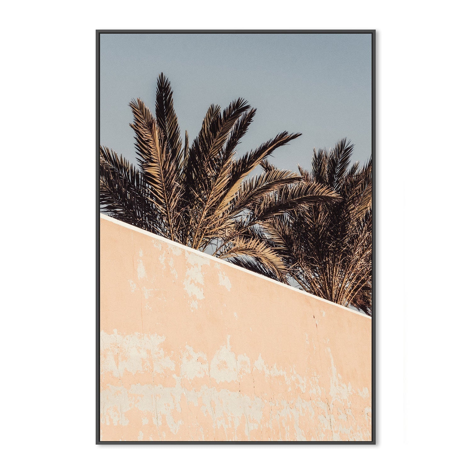 Palm-Gioia-Prints-Framed-Canvas-Poster-GIOIA-WALL-ART
