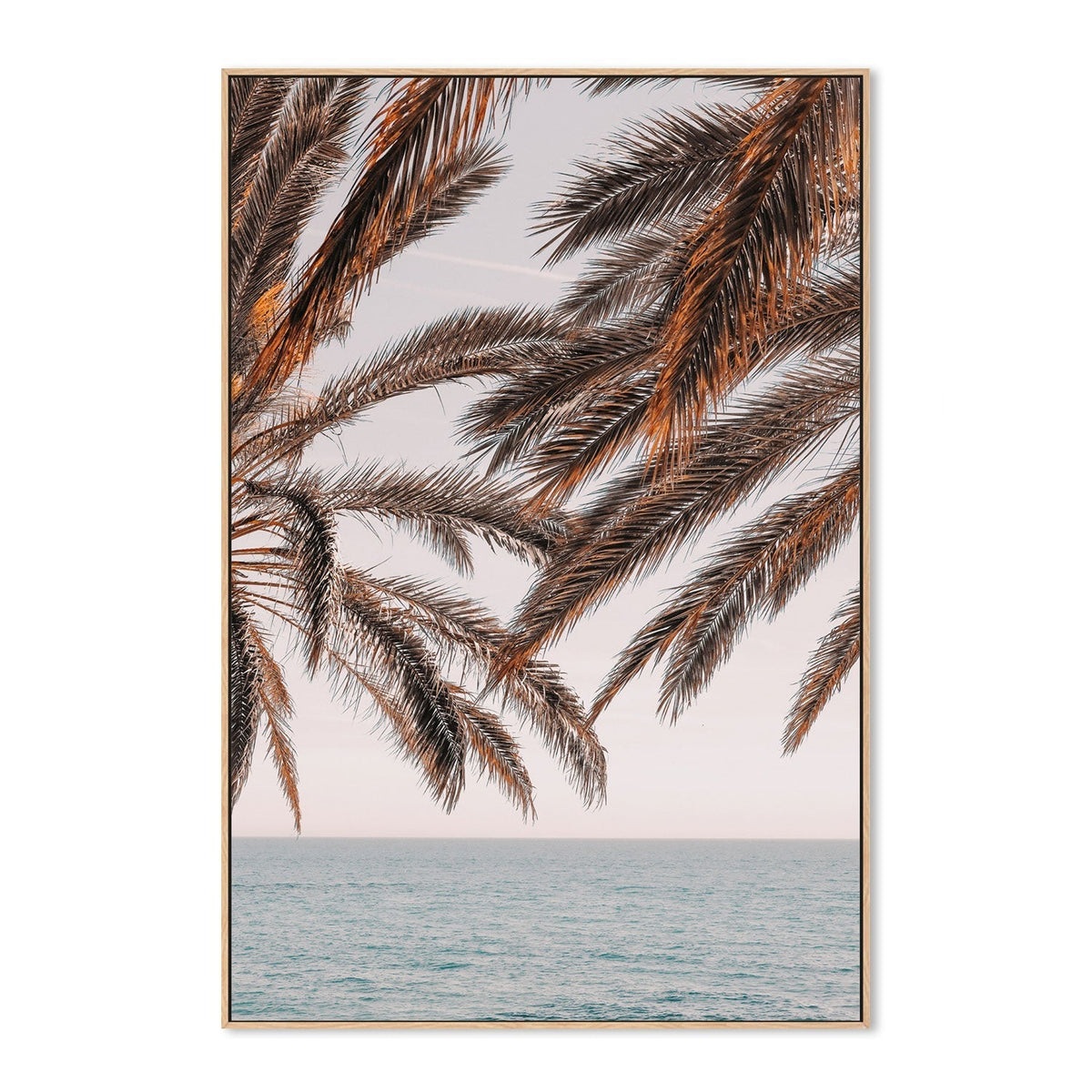 wall-art-print-canvas-poster-framed-Palm, Style B-by-Plus X Studio-Gioia Wall Art