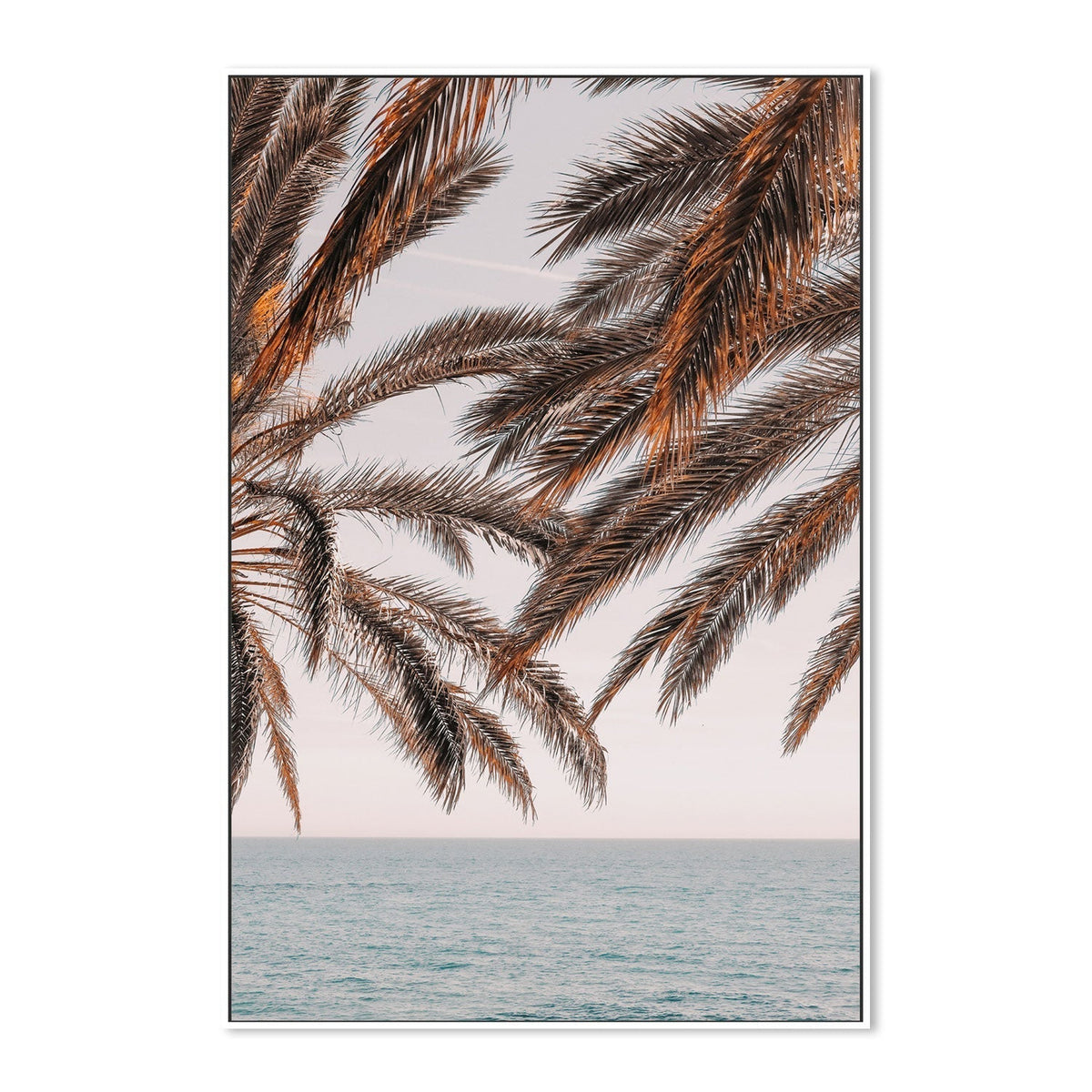 wall-art-print-canvas-poster-framed-Palm, Style B-by-Plus X Studio-Gioia Wall Art