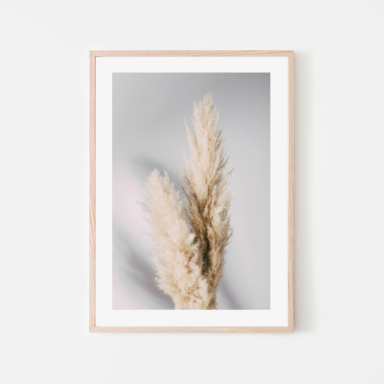Pampas Grass Grey-Gioia-Prints-Framed-Canvas-Poster-GIOIA-WALL-ART