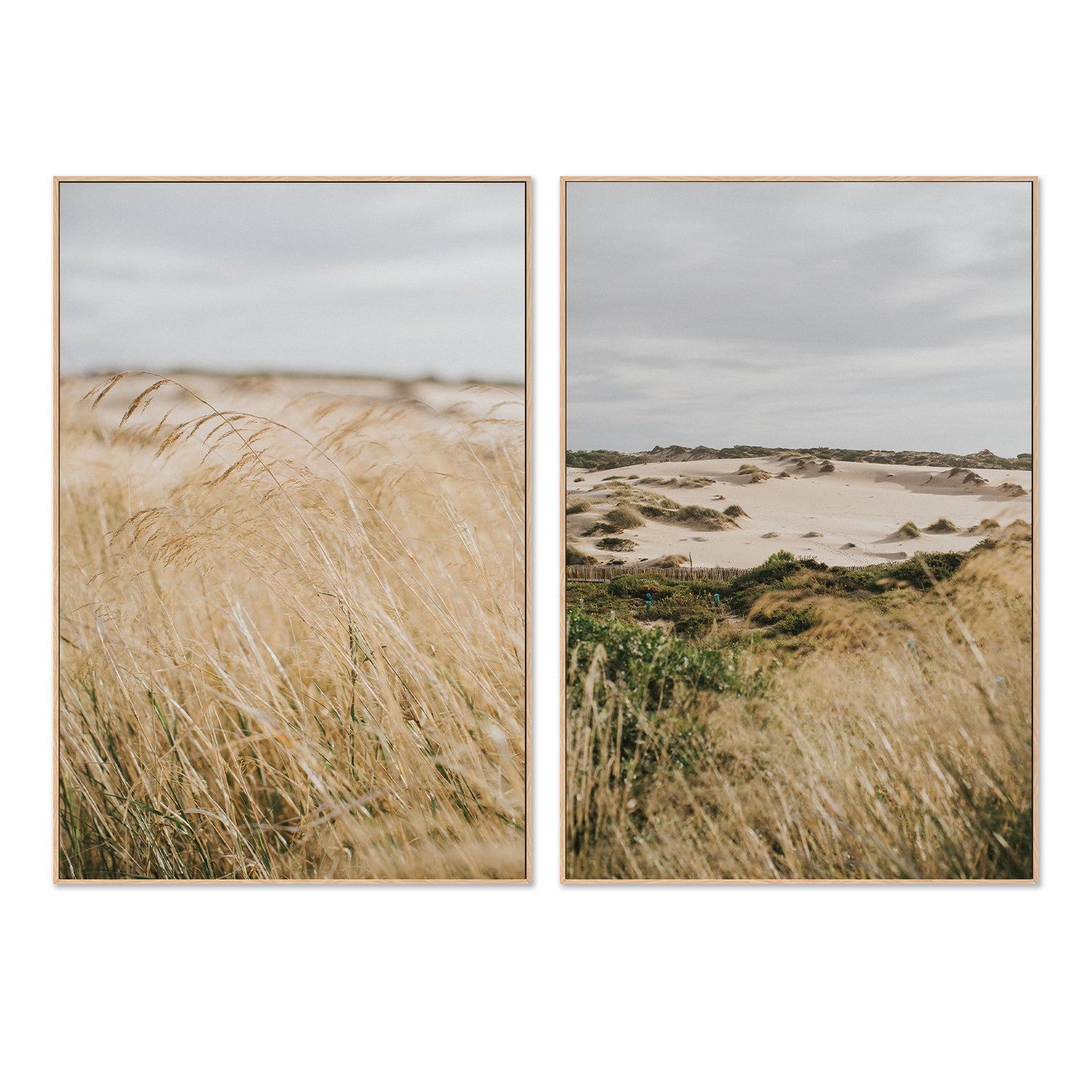 wall-art-print-canvas-poster-framed-Pampas Grass, Style A & B, Set Of 2 , By Hello Twiggs-4