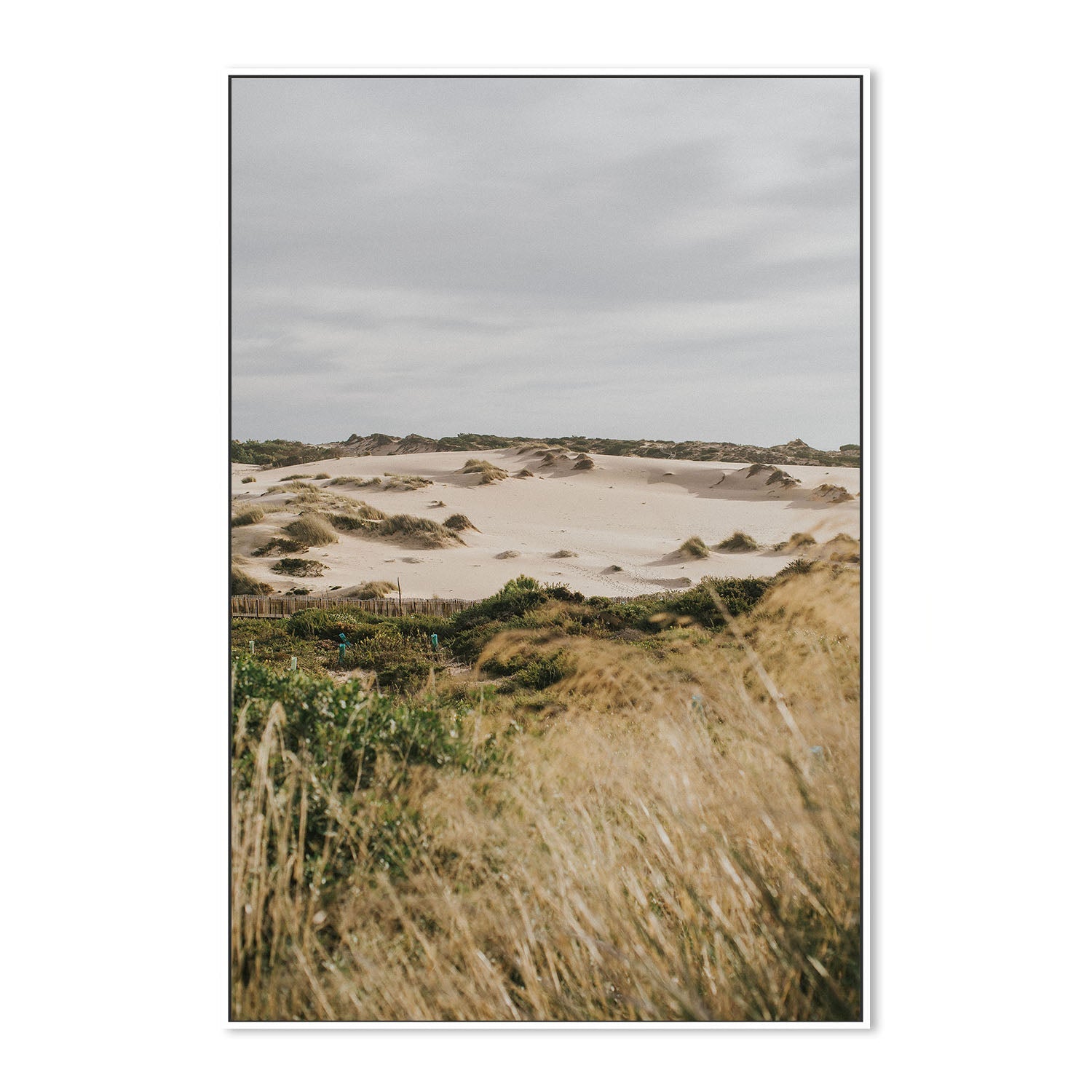 wall-art-print-canvas-poster-framed-Pampas Grass, Style B , By Hello Twiggs-5
