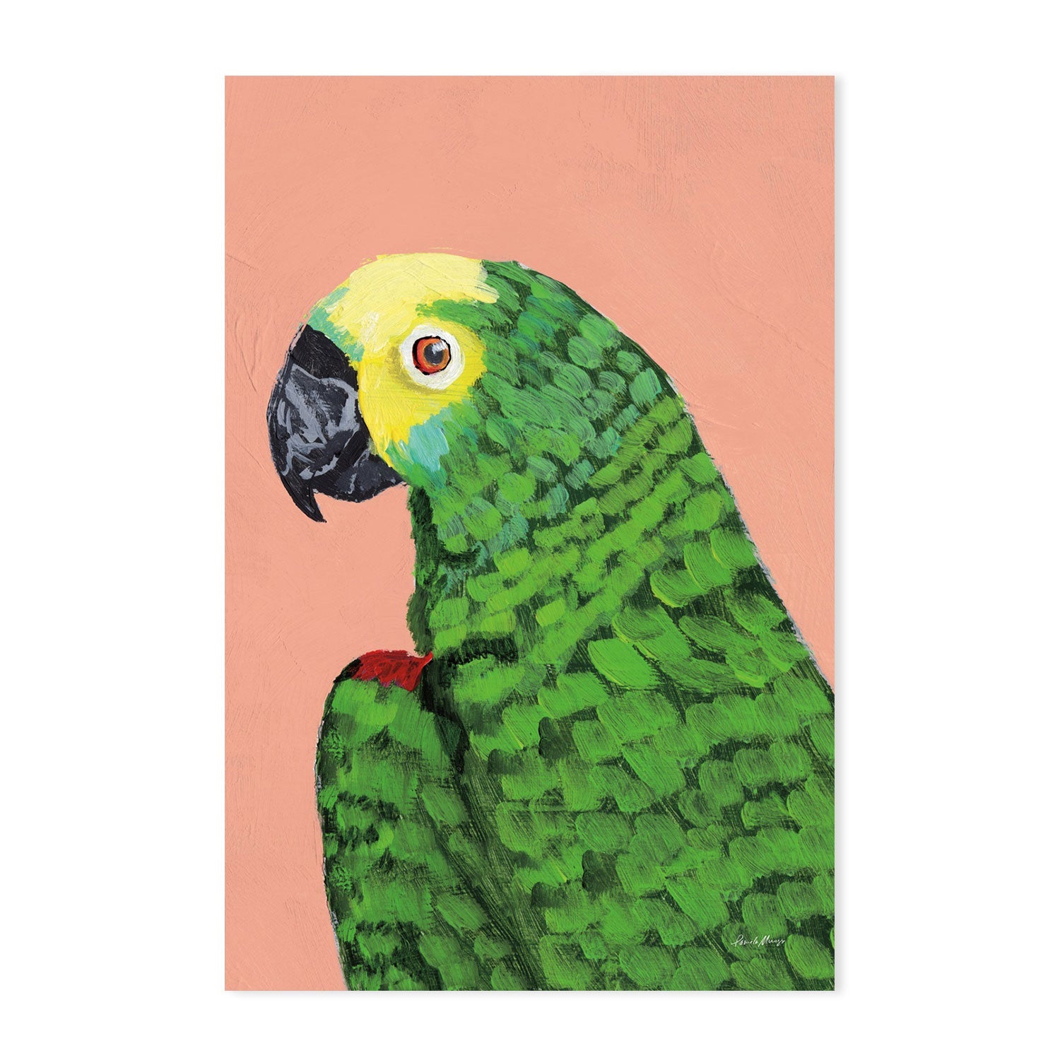 wall-art-print-canvas-poster-framed-Parrot Head-by-Pamela Munger-Gioia Wall Art