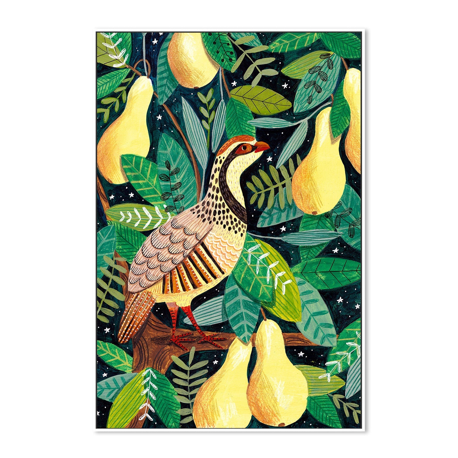 wall-art-print-canvas-poster-framed-Partridge in a pear tree-5