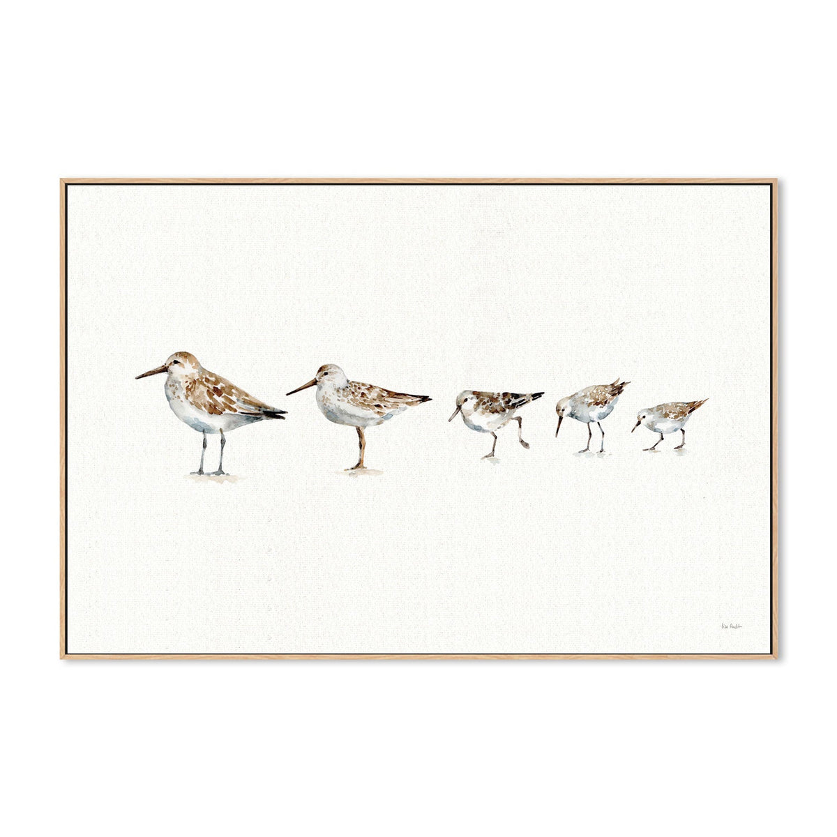 wall-art-print-canvas-poster-framed-Pebbles And Sandpipers , By Lisa Audit-GIOIA-WALL-ART