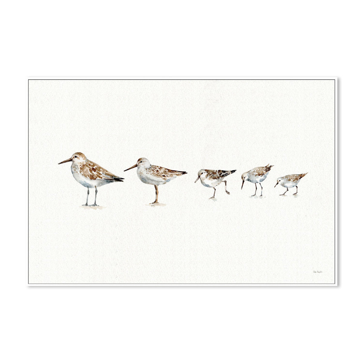 wall-art-print-canvas-poster-framed-Pebbles And Sandpipers , By Lisa Audit-GIOIA-WALL-ART