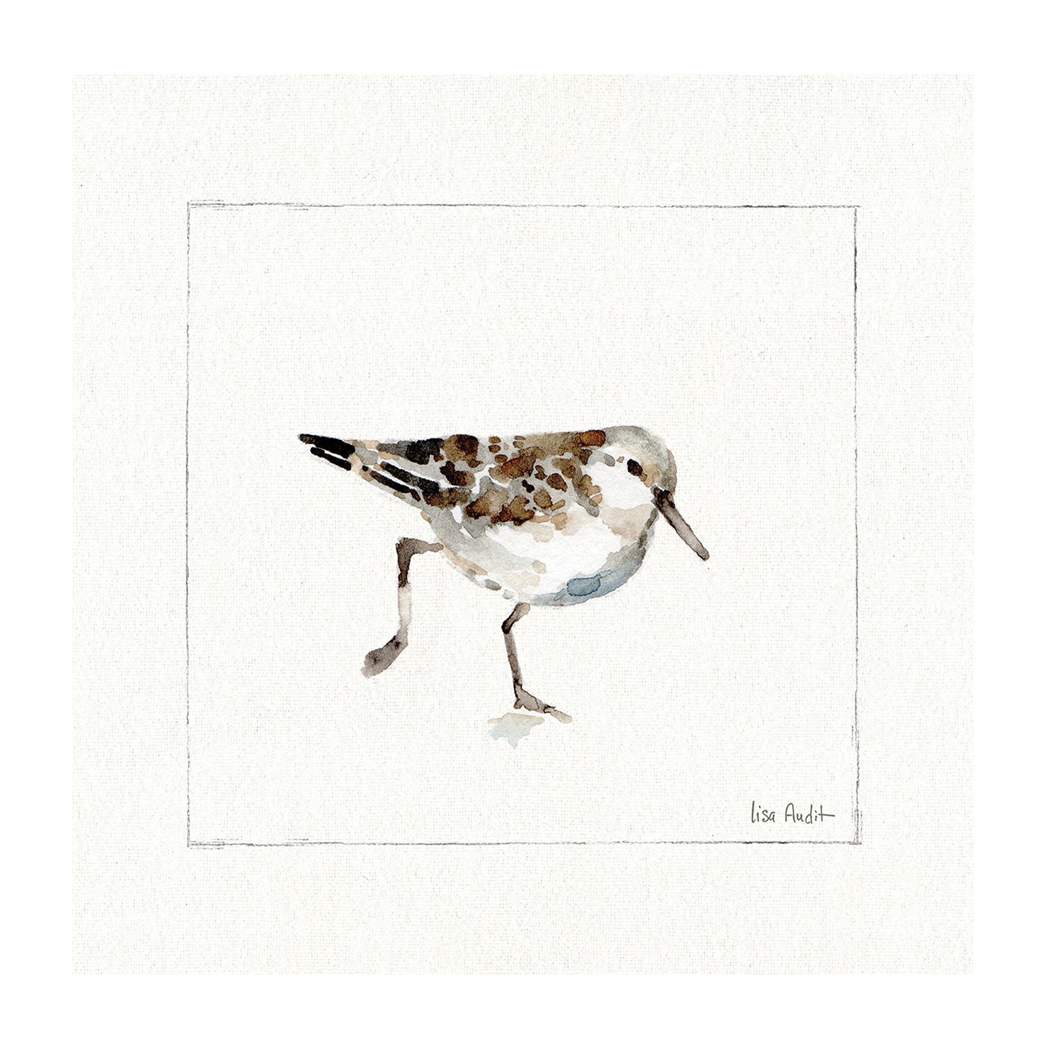 wall-art-print-canvas-poster-framed-Pebbles And Sandpipers, Style A , By Lisa Audit-GIOIA-WALL-ART