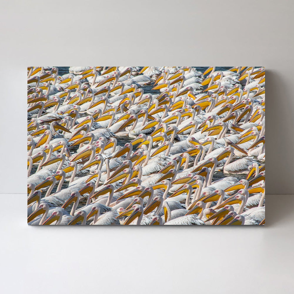 wall-art-print-canvas-poster-framed-Pelican Parade, By Natalia Rublina-by-Plus X Studio-Gioia Wall Art