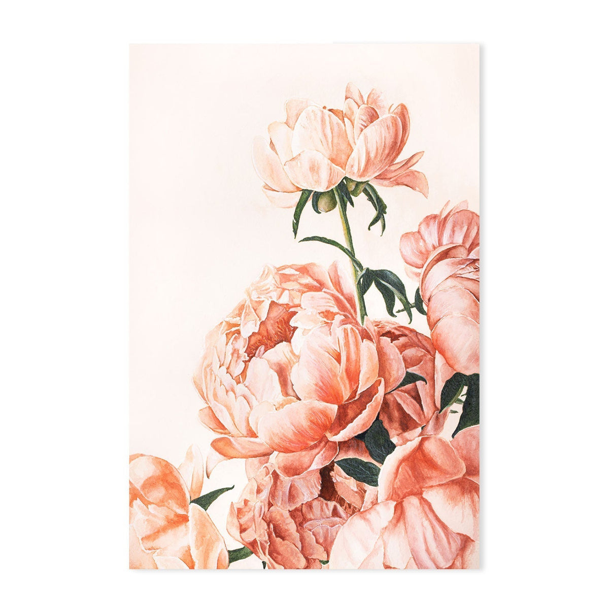 wall-art-print-canvas-poster-framed-Peonies , By Julia Ockert-GIOIA-WALL-ART