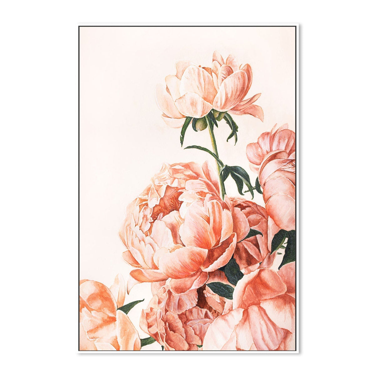 wall-art-print-canvas-poster-framed-Peonies , By Julia Ockert-GIOIA-WALL-ART