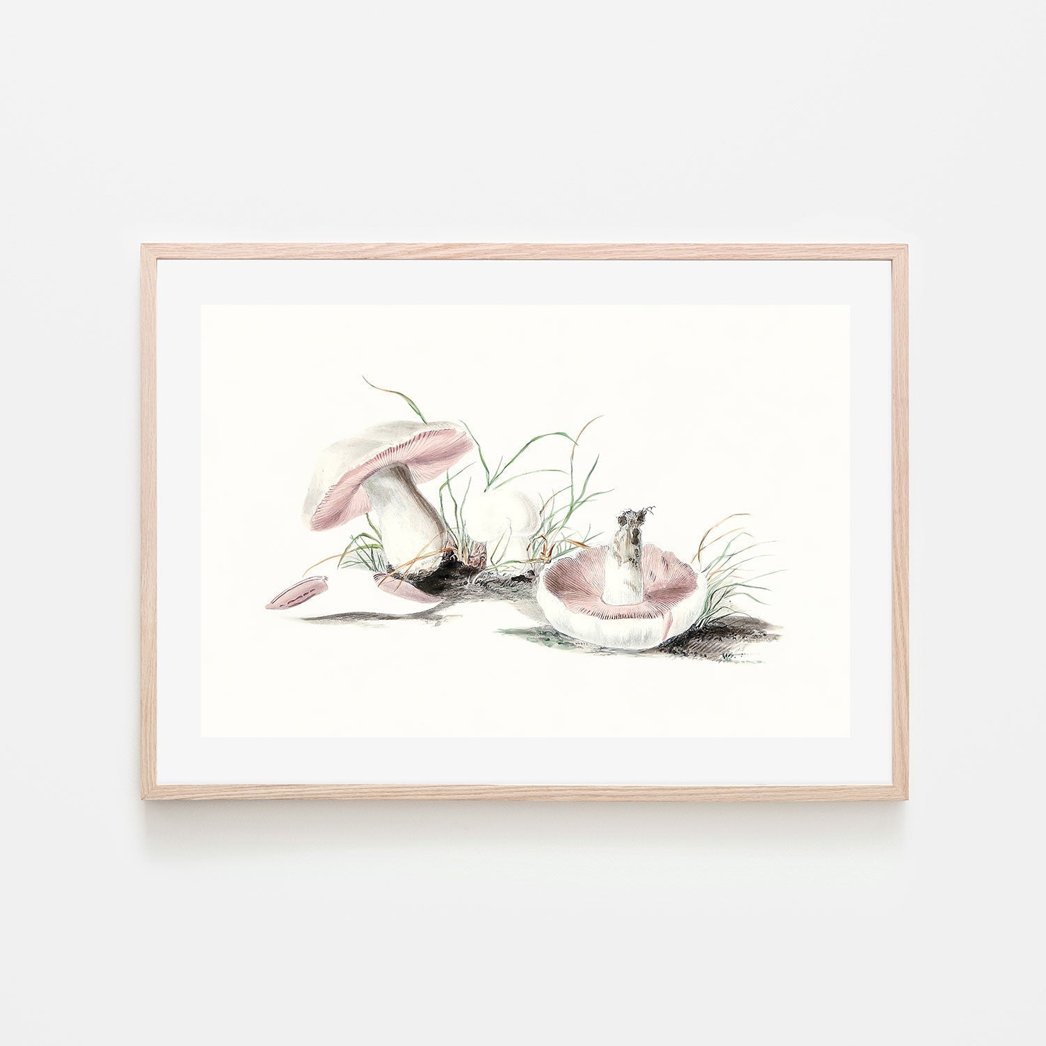wall-art-print-canvas-poster-framed-Pink Field Mushrooms-GIOIA-WALL-ART