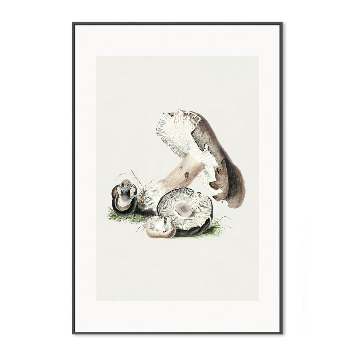wall-art-print-canvas-poster-framed-Portabella Mushrooms-GIOIA-WALL-ART