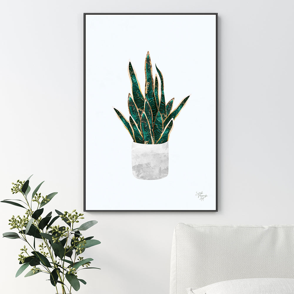 wall-art-print-canvas-poster-framed-Pot Plant, Style B , By Sarah Manovski-GIOIA-WALL-ART