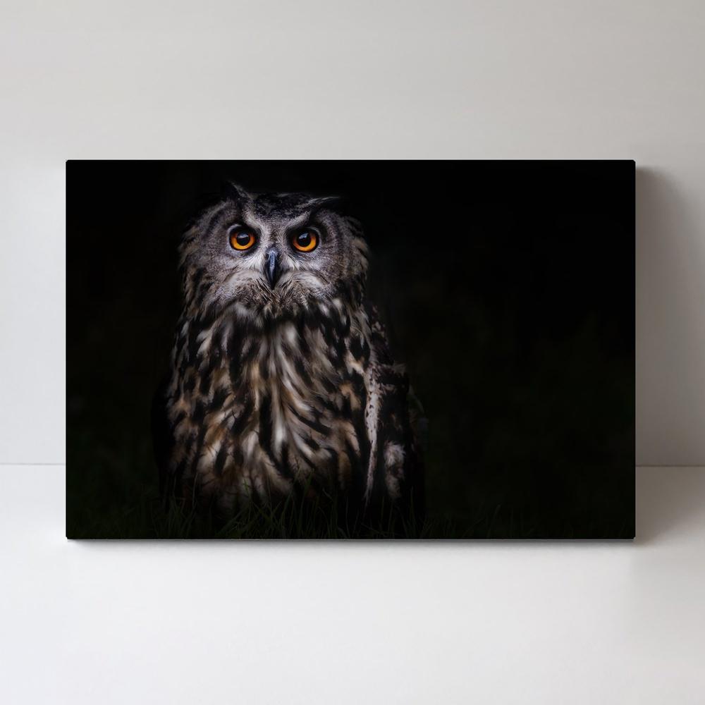 wall-art-print-canvas-poster-framed-Prince Of The Night, By Martine Benezech-by-Plus X Studio-Gioia Wall Art