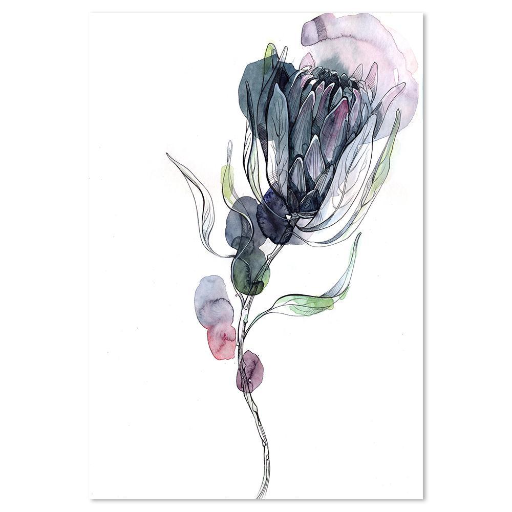 wall-art-print-canvas-poster-framed-Protea, Watercolour Painting-by-Gioia Wall Art-Gioia Wall Art