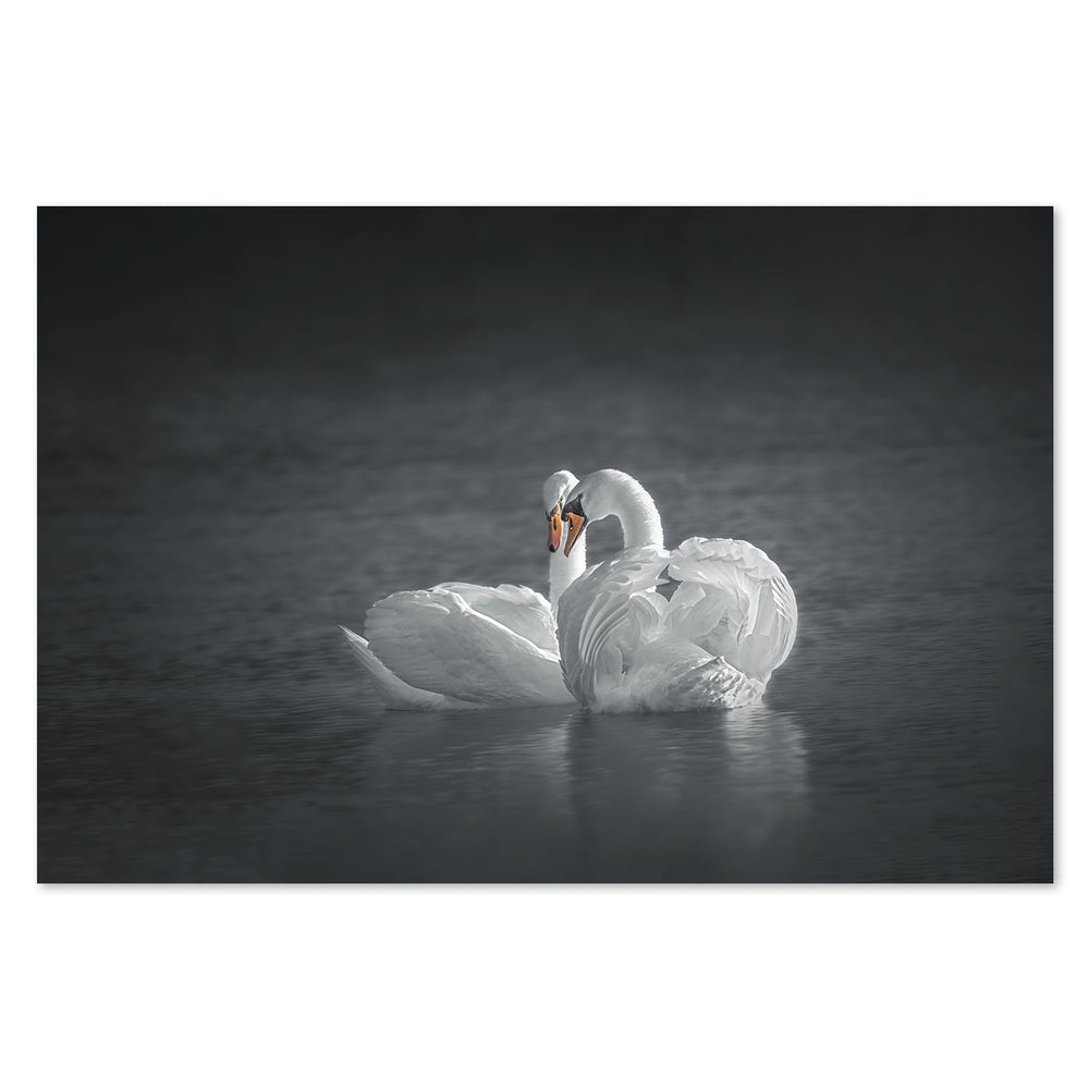 wall-art-print-canvas-poster-framed-Public Display Of Affection, By Mei Hu-by-Plus X Studio-Gioia Wall Art