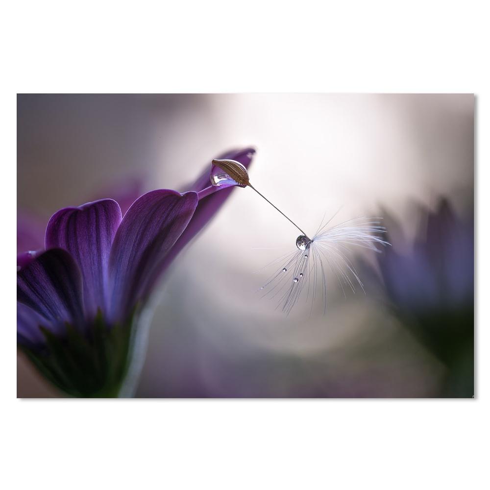 wall-art-print-canvas-poster-framed-Purple Rain, By Silvia Spedicato-by-Plus X Studio-Gioia Wall Art