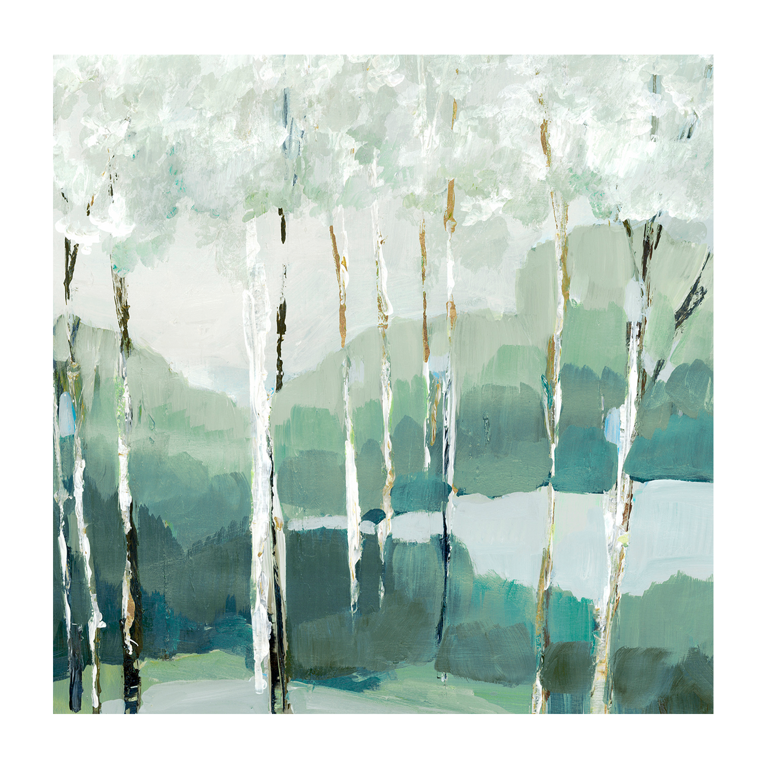 wall-art-print-canvas-poster-framed-Quiet Birch Forest , By Leda Robertson-1
