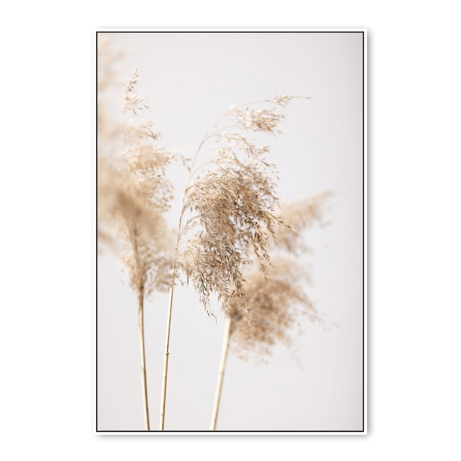 wall-art-print-canvas-poster-framed-Reed Grass Grey-by-Plus X Studio-Gioia Wall Art