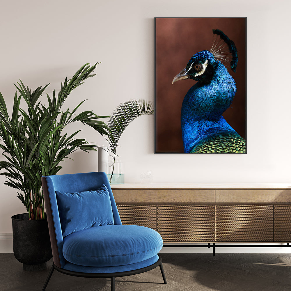 wall-art-print-canvas-poster-framed-Regal Peacock-GIOIA-WALL-ART