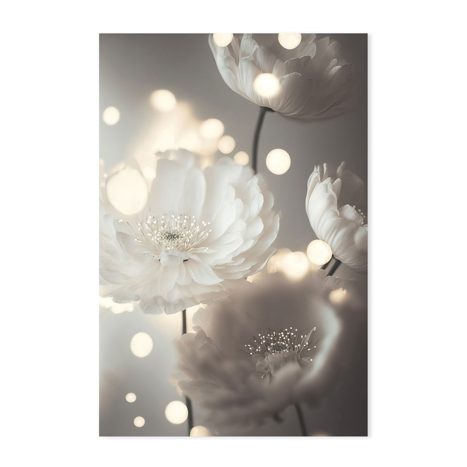 wall-art-print-canvas-poster-framed-Romantic White Flowers , By Treechild-GIOIA-WALL-ART