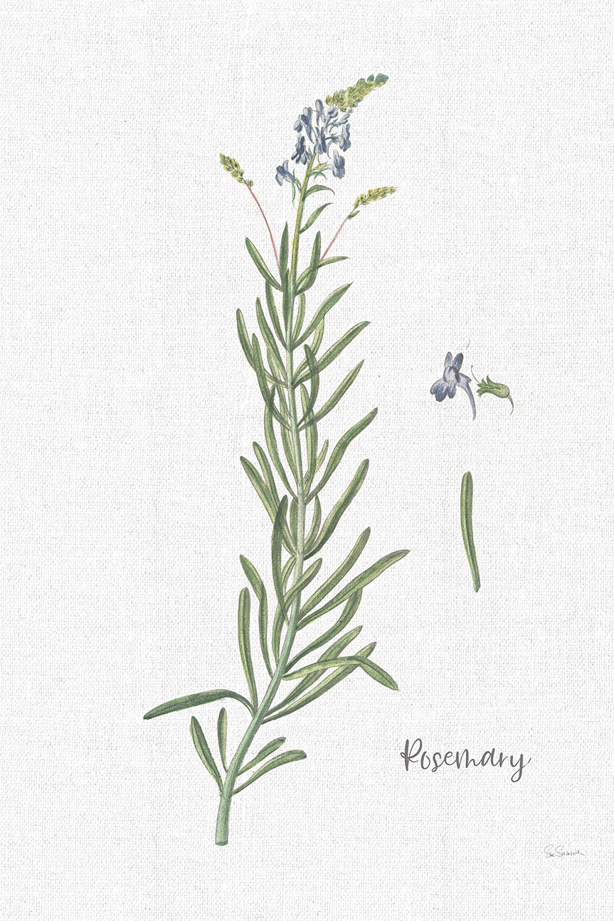 wall-art-print-canvas-poster-framed-Rosemary Cottage Herbs, Style A , By Sue Schlabach-1