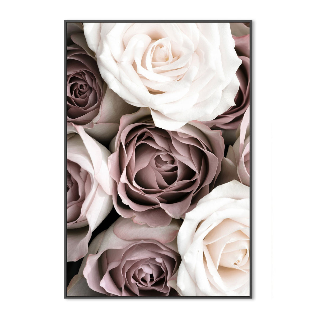 Roses-Gioia-Prints-Framed-Canvas-Poster-GIOIA-WALL-ART