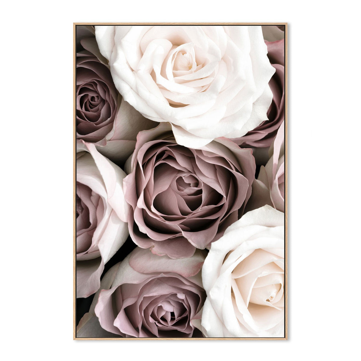 Roses-Gioia-Prints-Framed-Canvas-Poster-GIOIA-WALL-ART